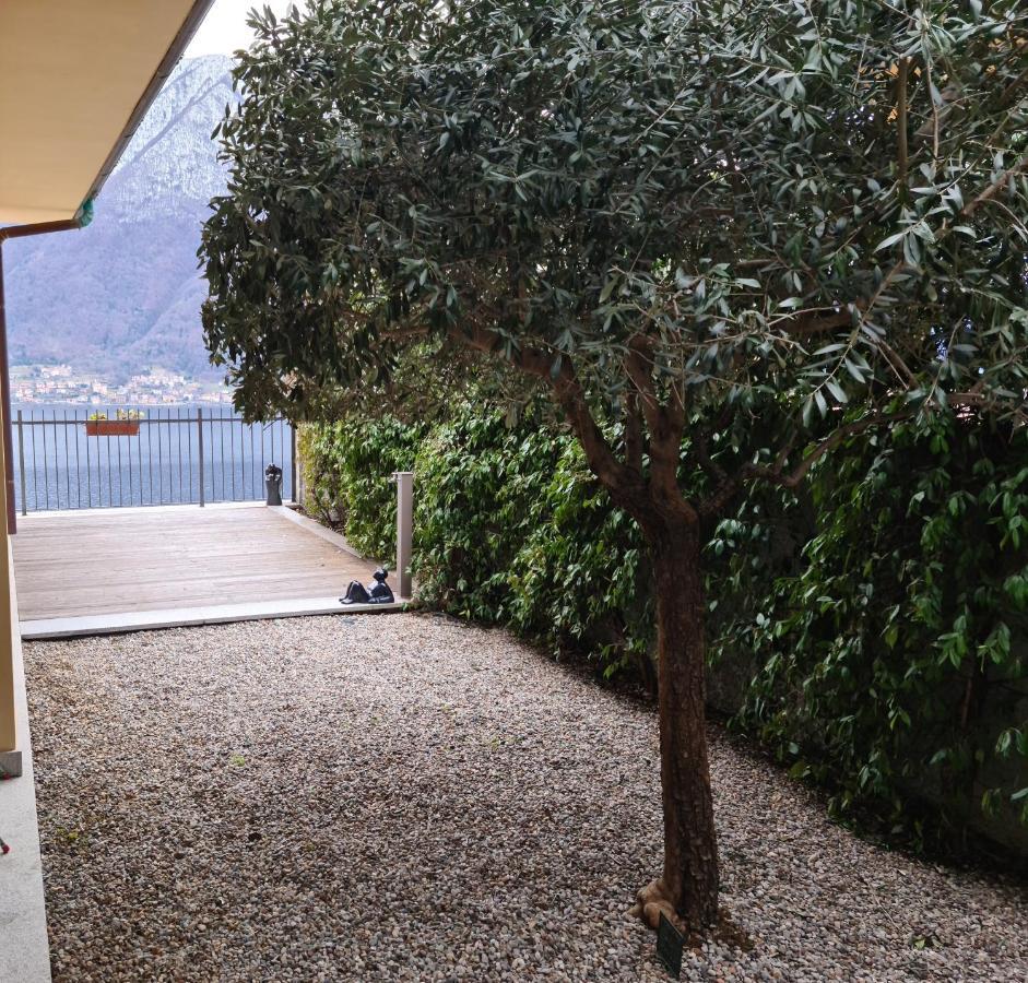 Colonno Panoramica Lago Di Como Exterior foto