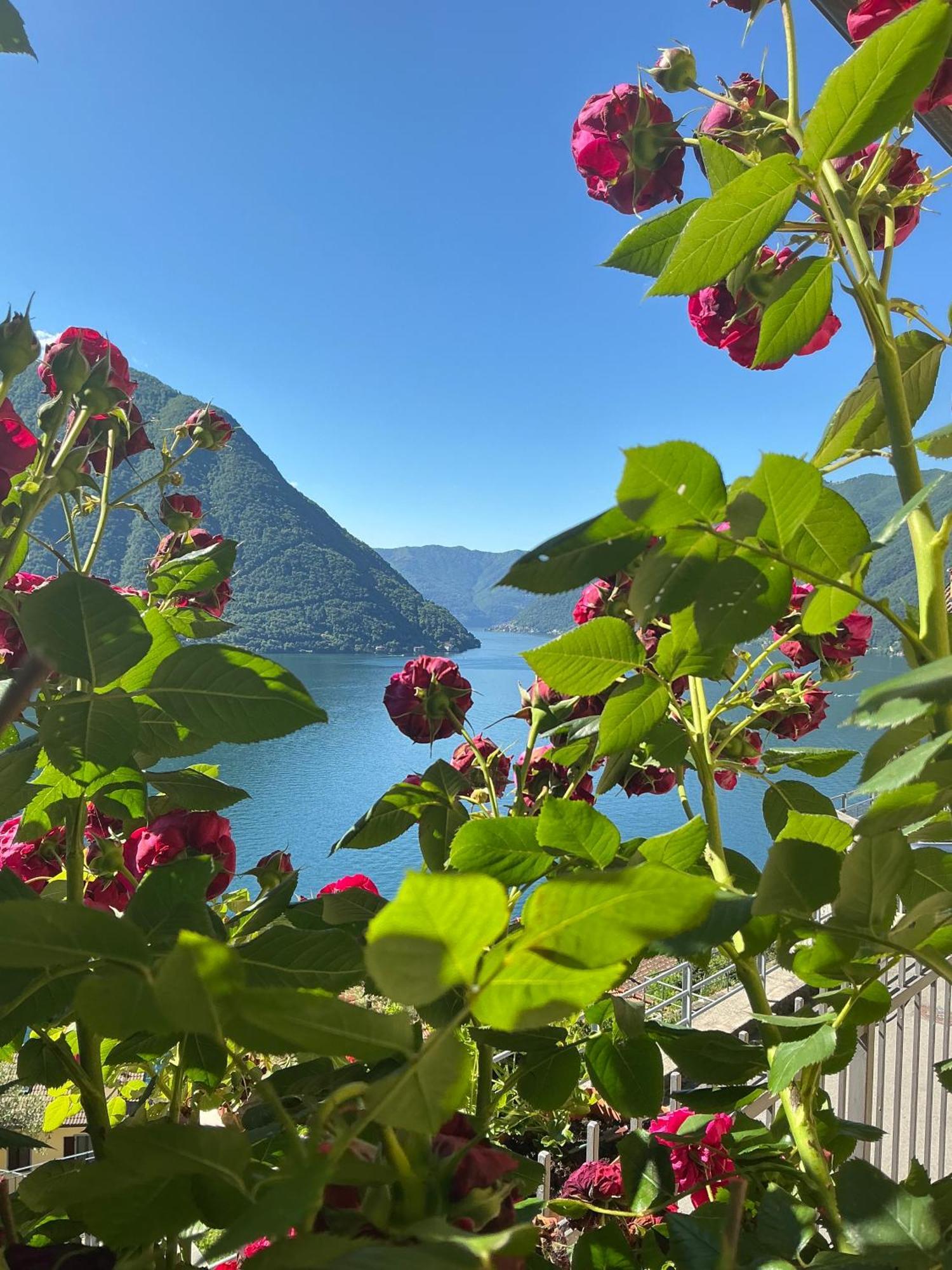 Colonno Panoramica Lago Di Como Exterior foto